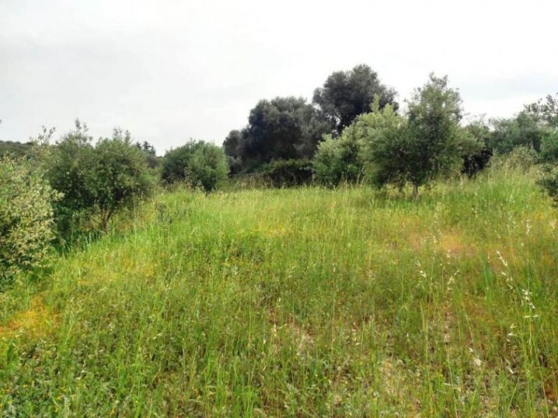 Kastellos bei Kournas Kreta, Kastellos: Grundstück mit Meerblick zu verkaufen Grundstück kaufen